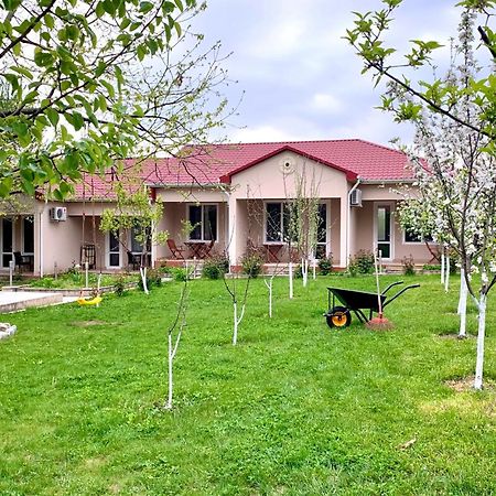 Cozy Family Cottages Vendam Екстер'єр фото